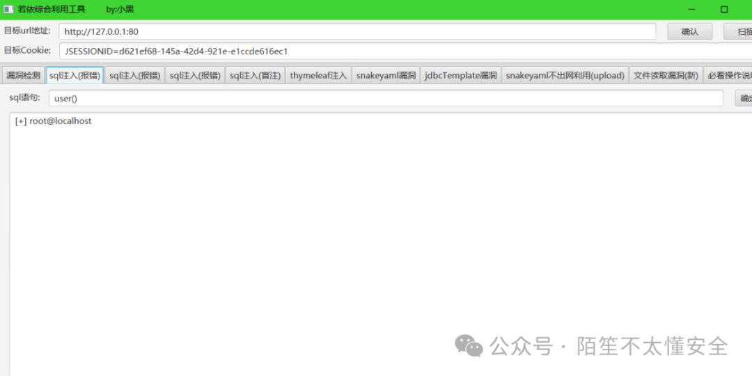 工具执行 SQL 注入等操作