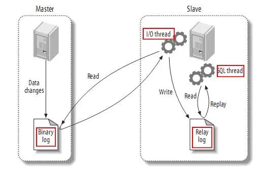 MySQL 主从复制架构示意图