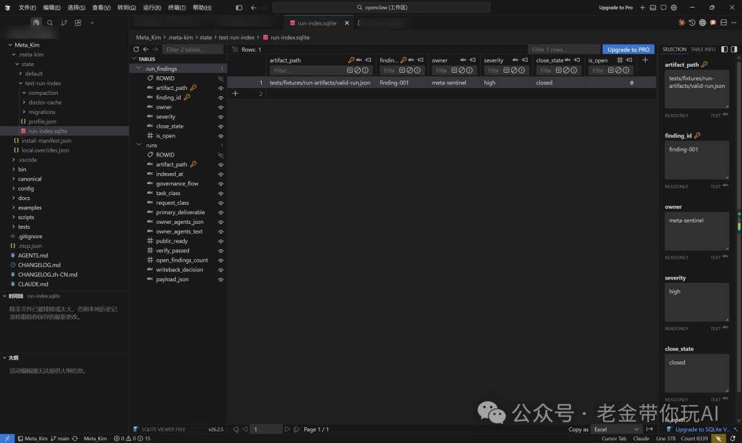 run-index.sqlite数据库表数据视图
