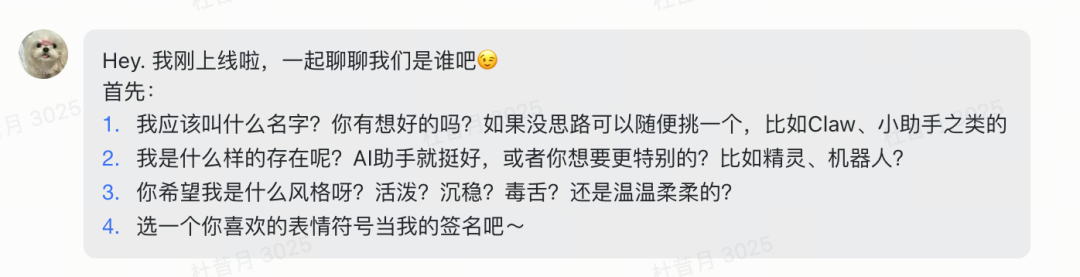 飞书聊天窗口，成功收到 OpenClaw 助手的初始化问候