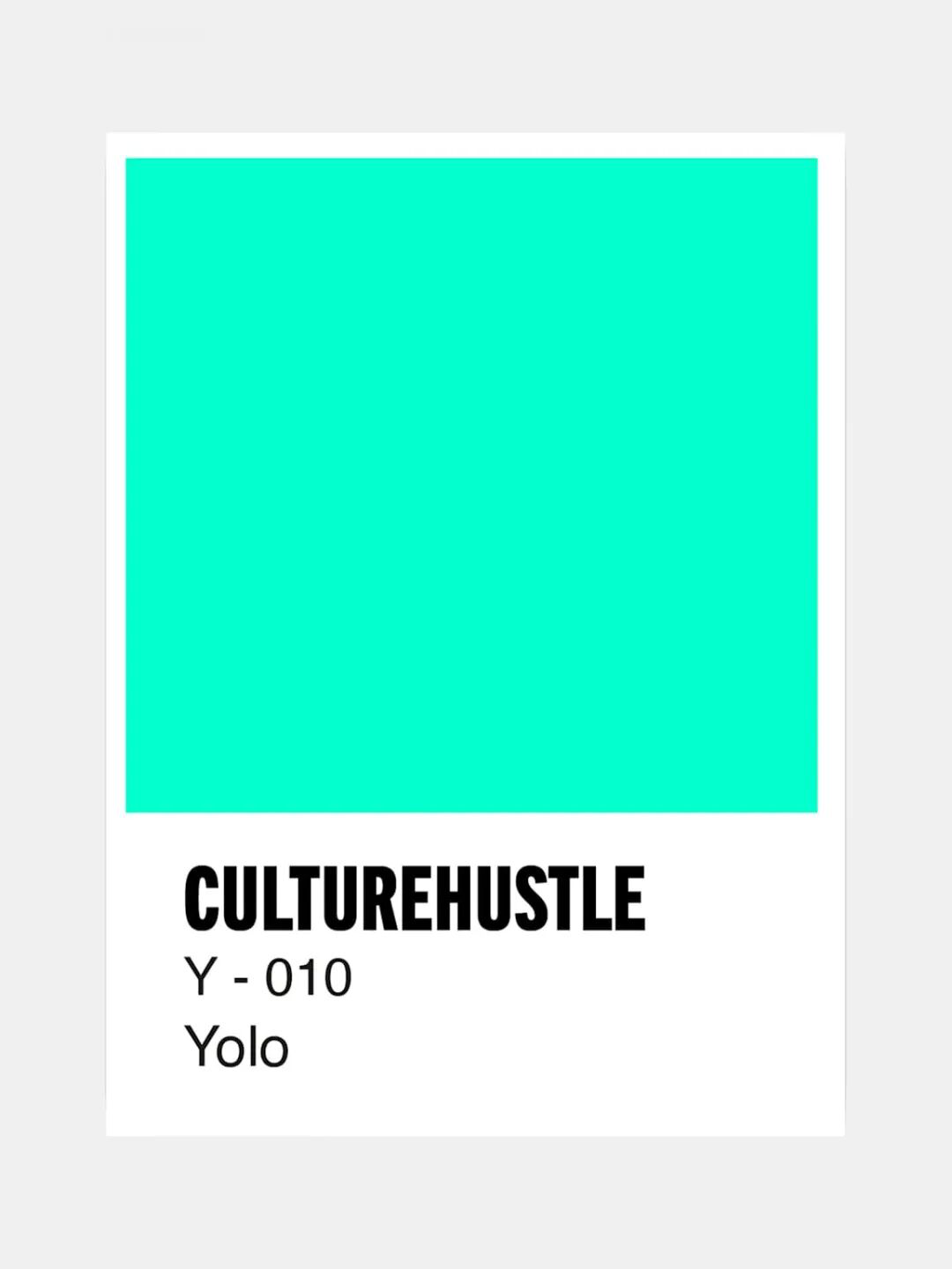 名为YOLO的颜料色卡