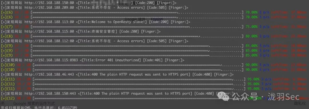 发现的网站资产列表