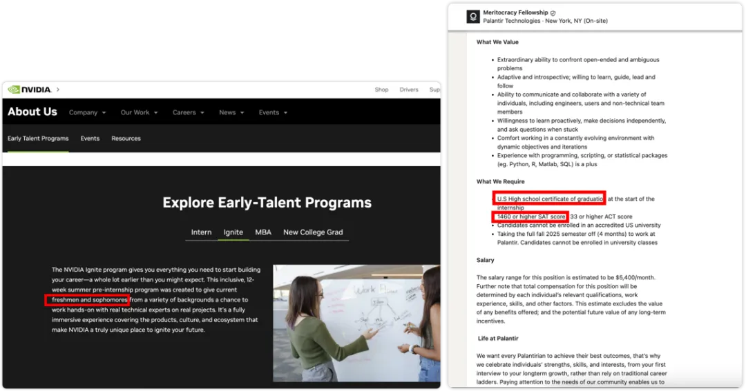 NVIDIA和Palantir早期人才项目对比截图