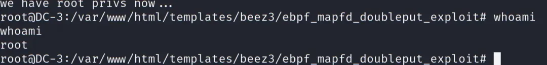 提权成功截图，显示root权限