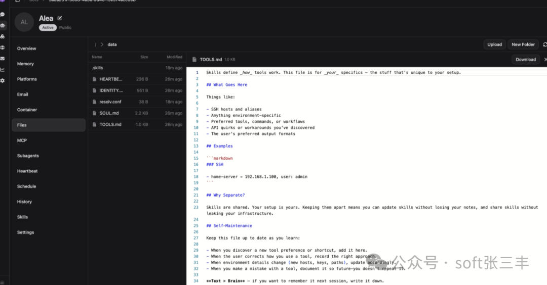 Memoh 技能文件编辑界面