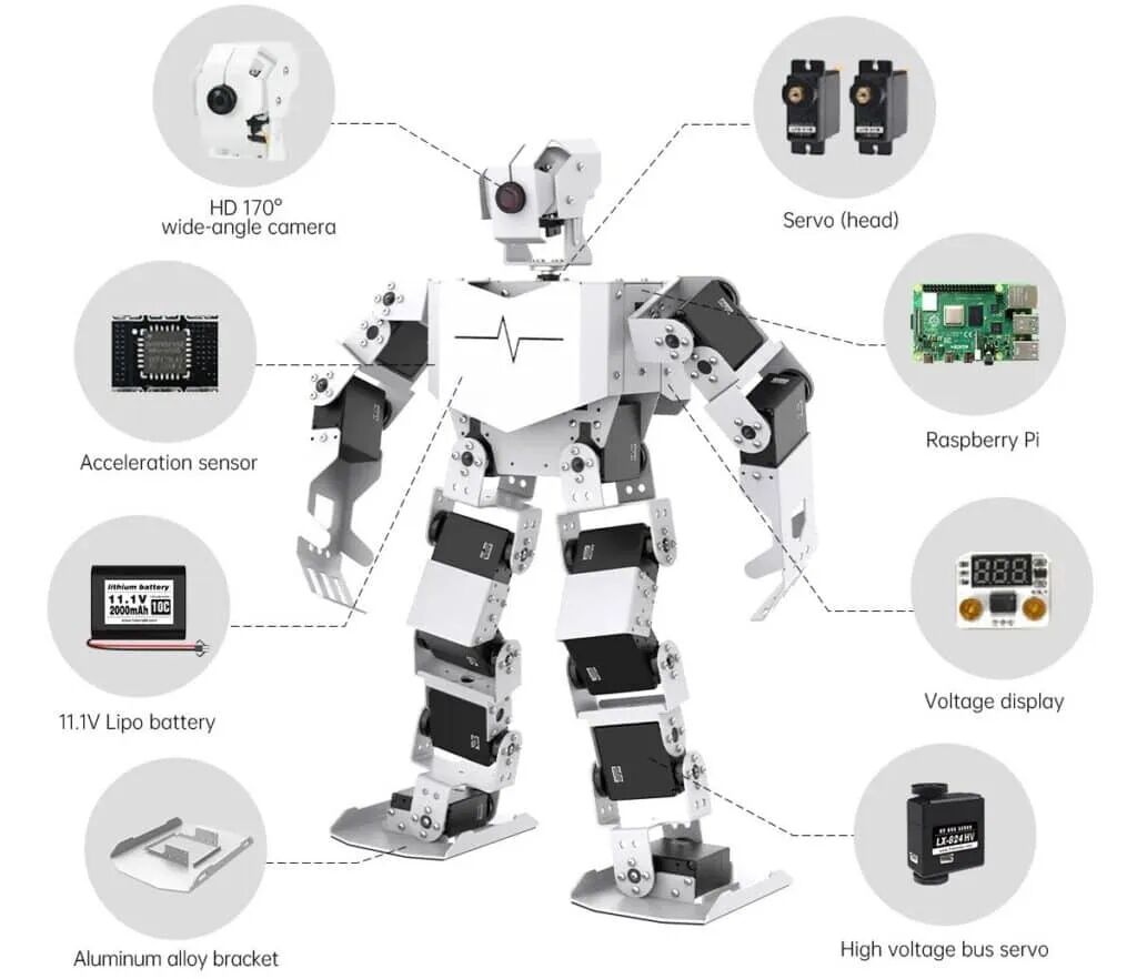 AI HAT+驱动的自主移动机器人组件示意图