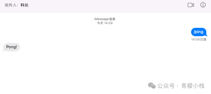 iMessage 中发送 /ping 命令并收到回复