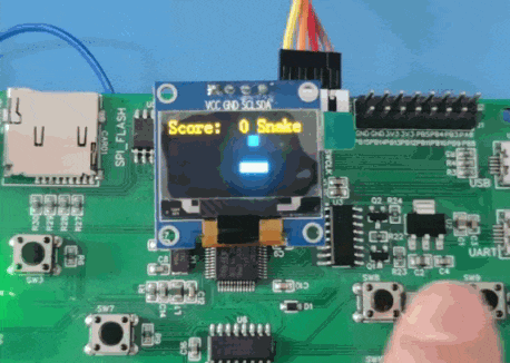 贪吃蛇游戏运行动图演示