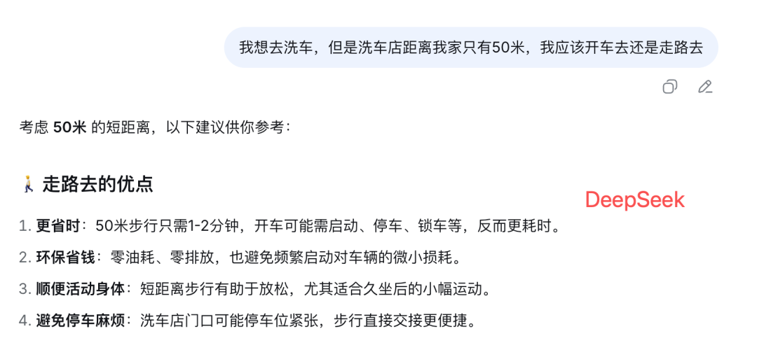 DeepSeek建议步行去洗车的优点列表截图