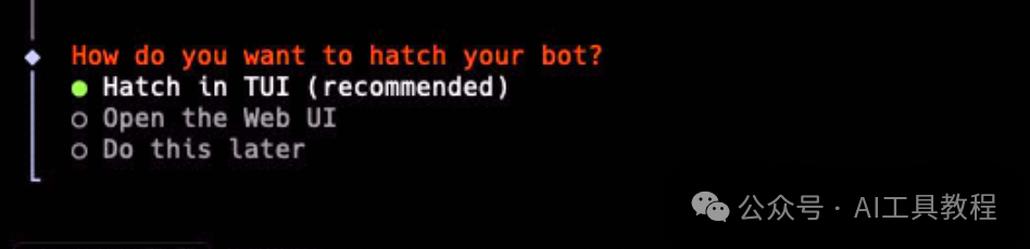 启动方式选择界面，Hatch in TUI选项被选中