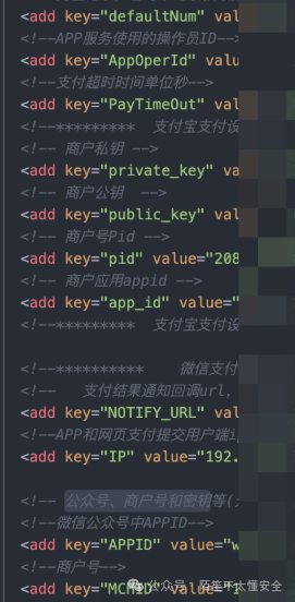 Web.config 配置内容截图,展示了支付宝和微信支付的商户私钥、公钥等敏感配置
