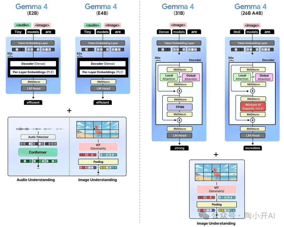 Gemma 4系列模型架构对比图