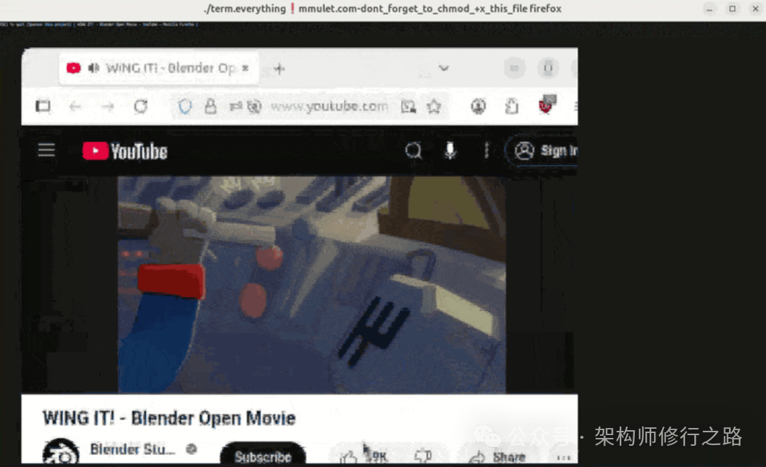 终端内播放YouTube视频