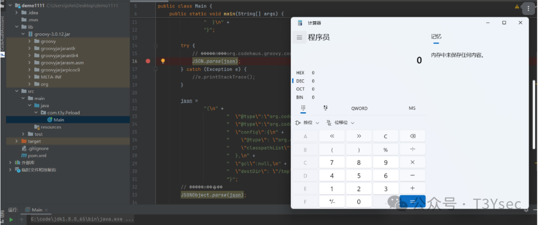 触发漏洞的演示代码