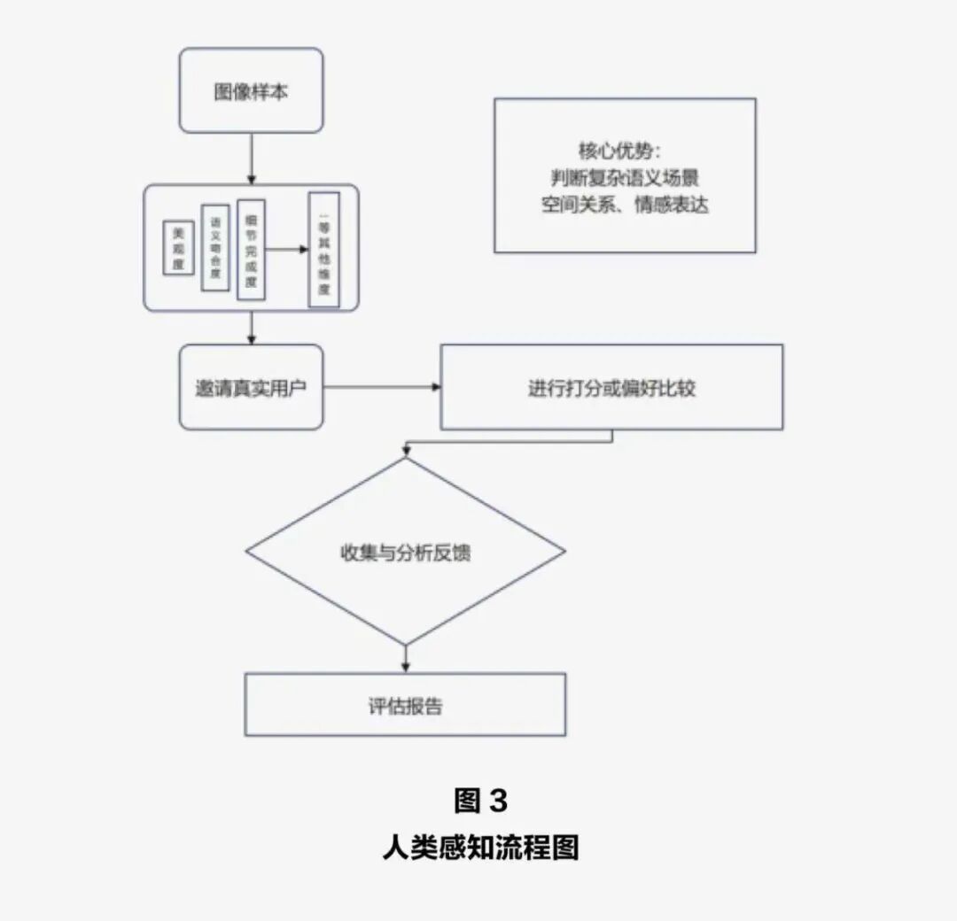 人类感知评估流程图