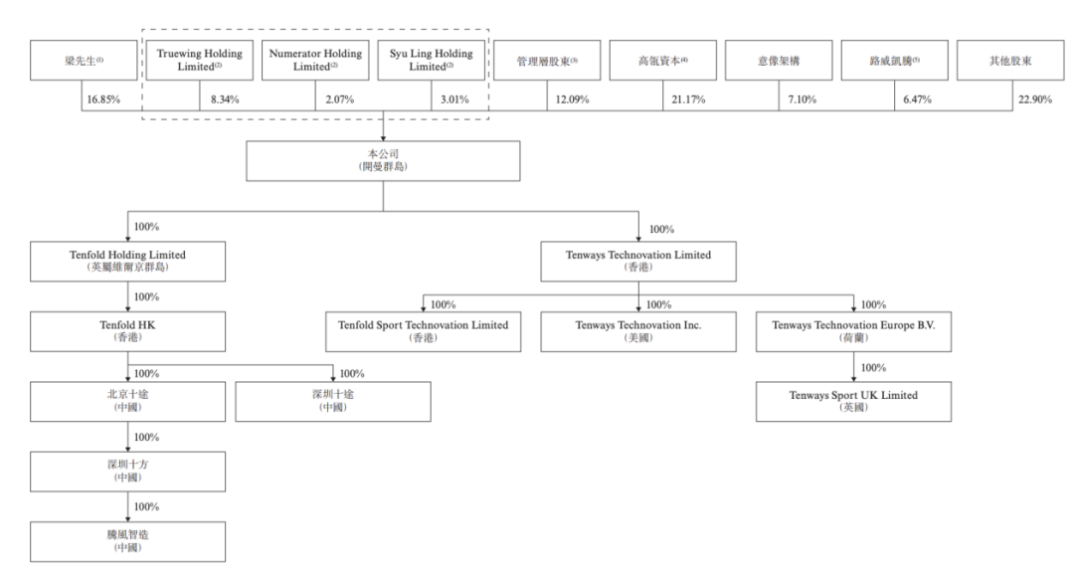 TENWAYS公司股权结构图