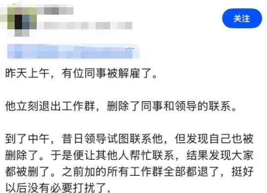 一张手机聊天记录截图，内容描述了同事被裁后删除所有人的情况