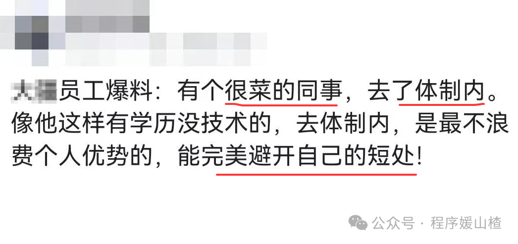 大疆员工爆料称技术菜但学历好的同事去了体制内能避开短处