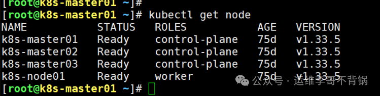 节点移除后的集群状态