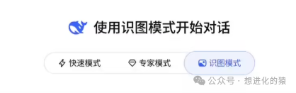 DeepSeek识图模式的界面截图，展示了使用识图模式开始对话，以及快速、专家、识图三种模式的切换按钮