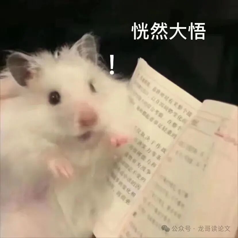 恍然大悟表情包