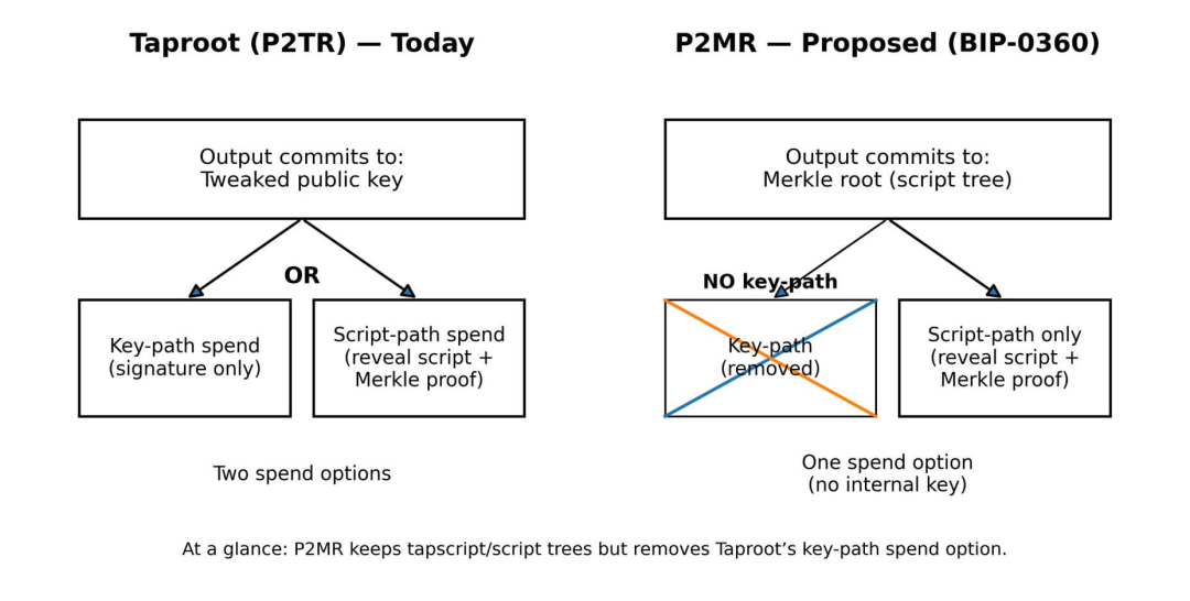 当前Taproot(P2TR)与提议中的P2MR方案对比示意图