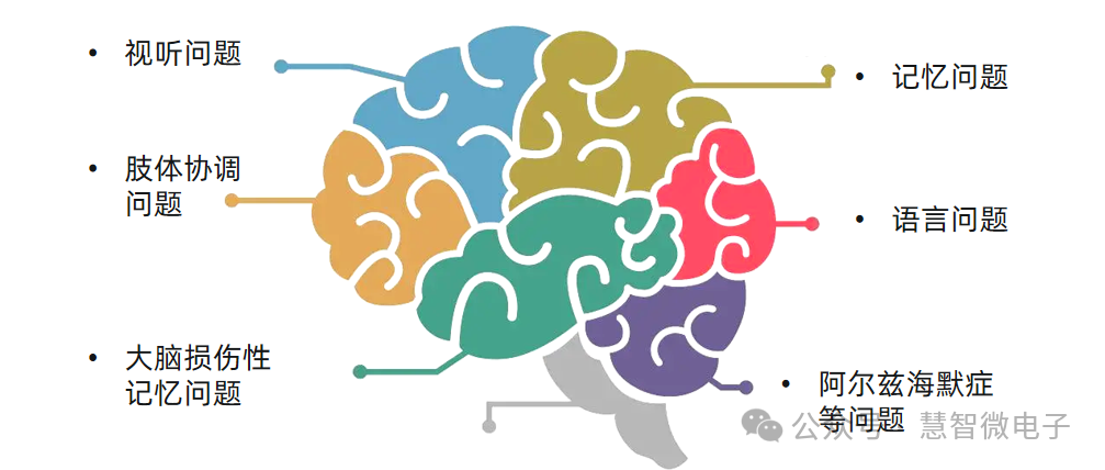 脑部损伤造成的代表性问题