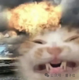 猫头火球表情包
