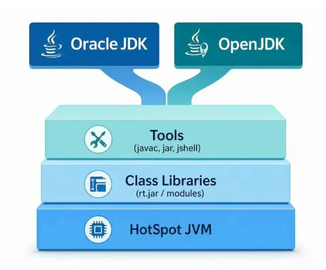 Java开发环境架构图:Oracle JDK与OpenJDK共用Tools、Class Libraries和HotSpot JVM