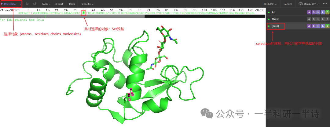 PyMOL对象列表面板与序列选择界面