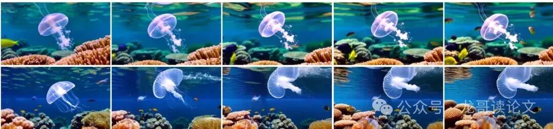 MonarchRT生成示例：水母