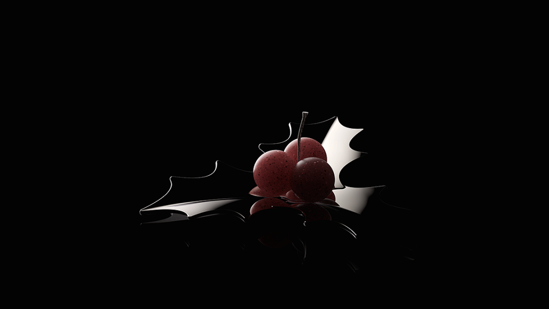 黑色背景下红色浆果与银色金属冬青叶的艺术构图