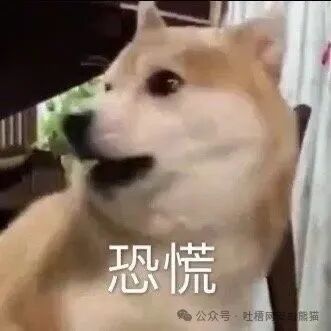 柴犬恐慌表情包