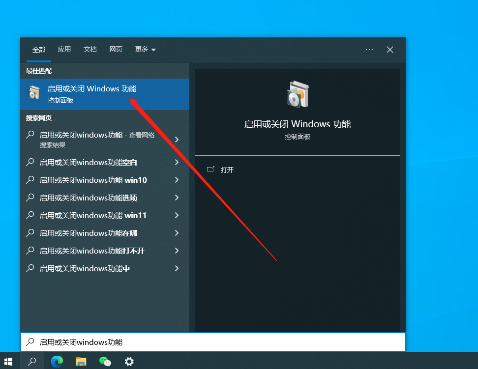 搜索启用或关闭 Windows 功能