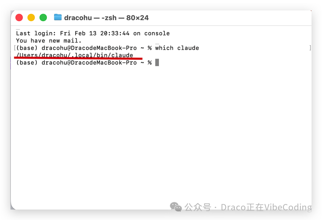 终端执行 which claude 命令查看路径