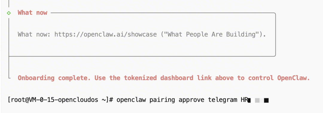 终端中执行配对批准命令