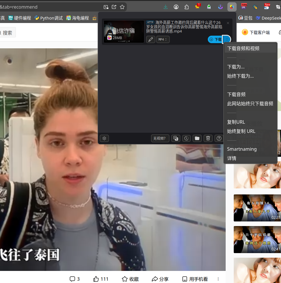 Video DownloadHelper 下载网页视频弹窗