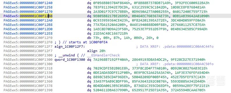 IDA中的代码段数据