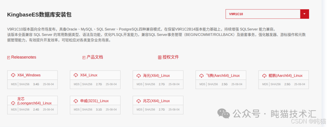 KingbaseES V9R1C10 版本安装包下载页面