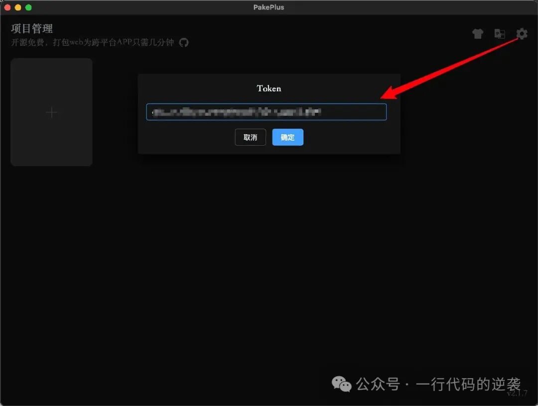 在 PakePlus 中粘贴 Token