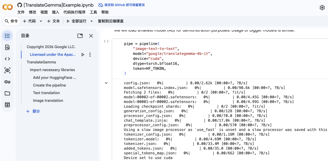 在 Jupyter Notebook 中加载 TranslateGemma 模型的代码截图