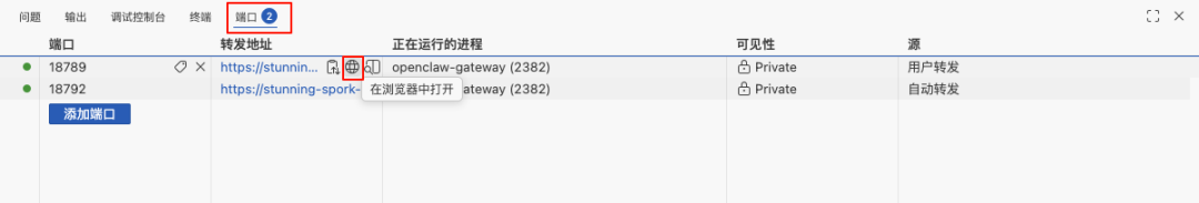 Codespaces端口转发管理界面
