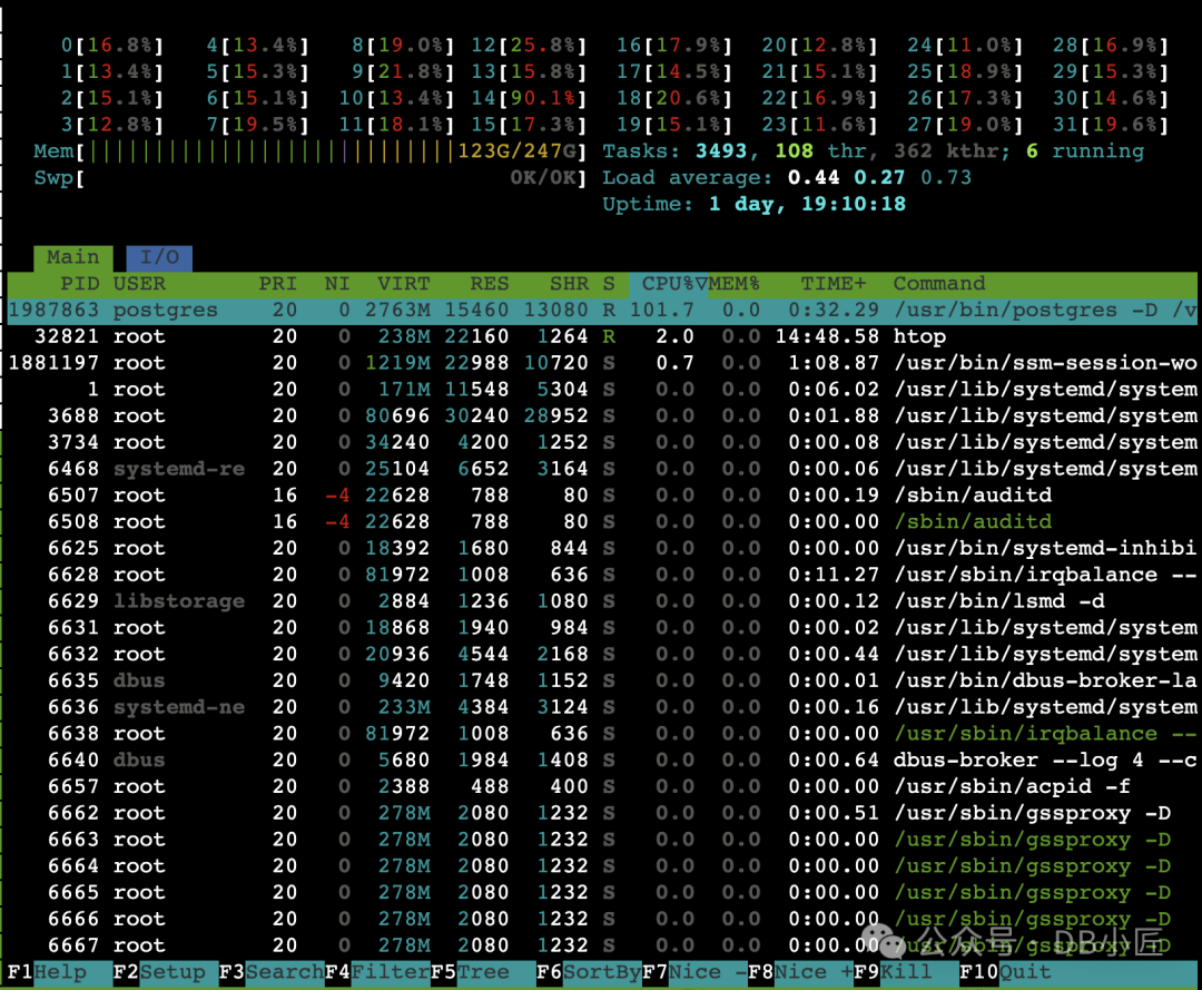 htop显示Postmaster进程占用单核CPU 101.7%