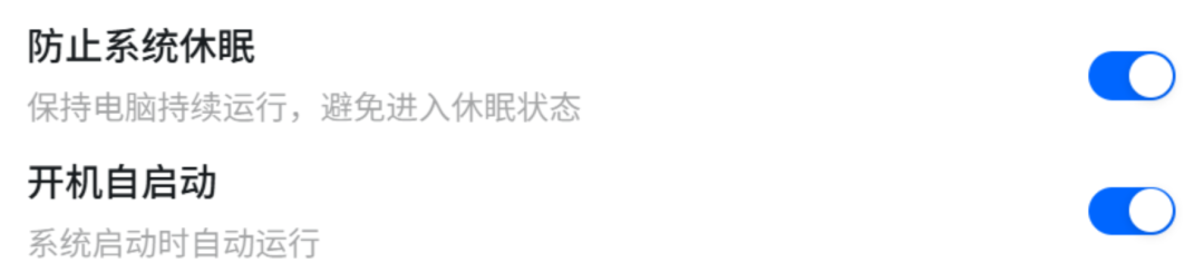 设置界面，防止系统休眠和开机自启动选项开启