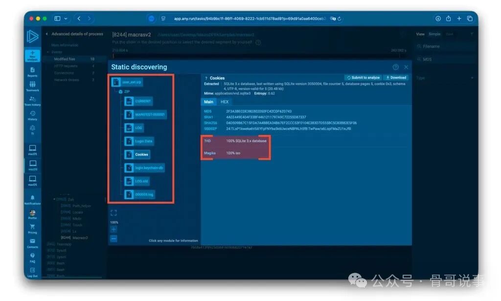 分析工具中显示名为Cookies的SQLite数据库文件详情，是待窃取数据的一部分