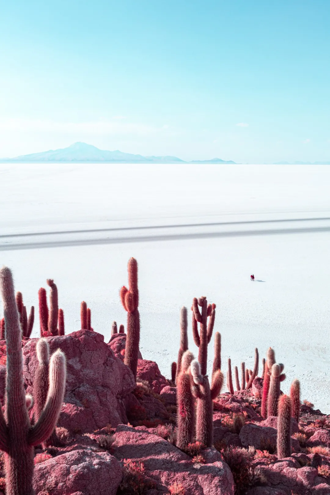 白色盐湖上的红色岩石、仙人掌与行人