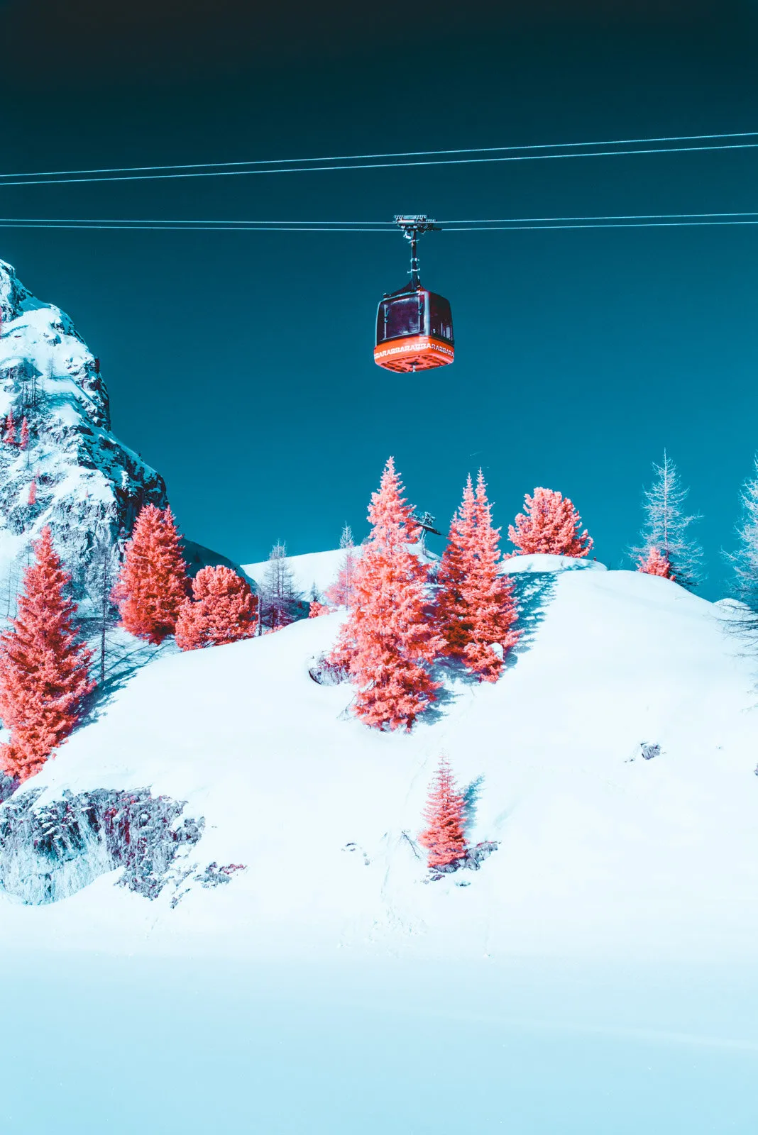 雪山背景下悬挂的橙色缆车与粉红色松树