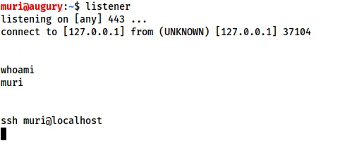 非交互式Shell中SSH命令无输出