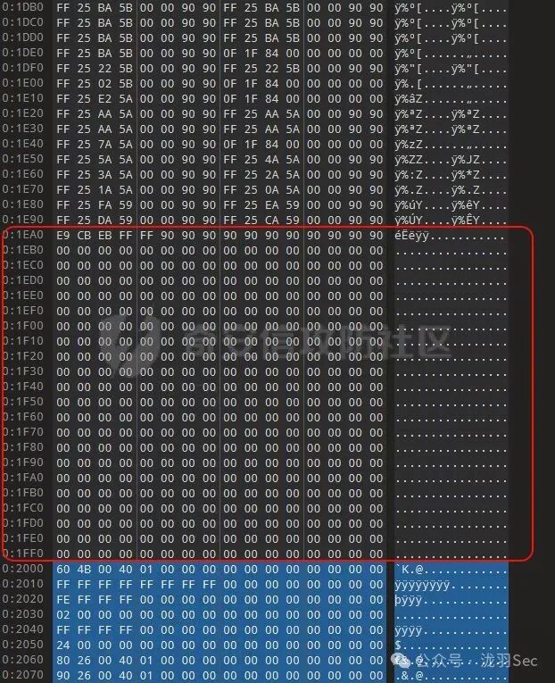 .text节末尾的零字节填充区域