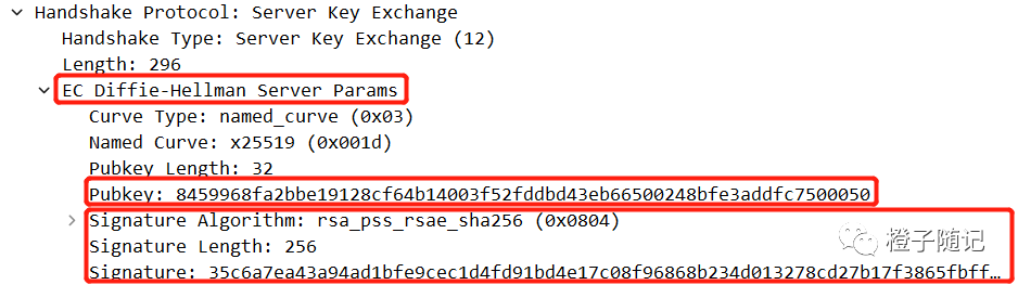 Server Key Exchange报文结构抓包图